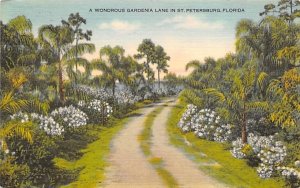 A Wondrous Gardenia Lane St Petersburg, Florida