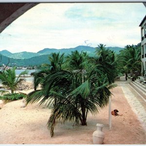 c1970s St. Maarten St. Martin West Indies Beach Hotel Palm Trees Chrome 4x6 M27