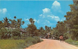 LAOS 1960s Postcard Lao Village Near Vientiane