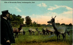 Postcard IN Indianapolis Policeman Watching Elk at Riverside Park C.1910 F3