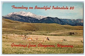 c1960 Upper Great Plains Home Range Antelope Cheyenne Wyoming Vintage Postcard