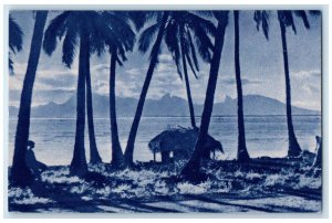 c1910 Missions of Oceania Tahitian Landscape Tall Trees Antique Postcard