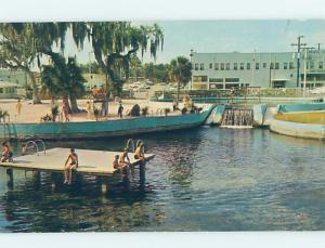 Pre-1980 SWIMMING POOL Tampa Florida FL ho6079