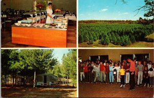 Eby's Pines Restaurant Roller Skates Pop Up Camper Bristol Indiana Postcard