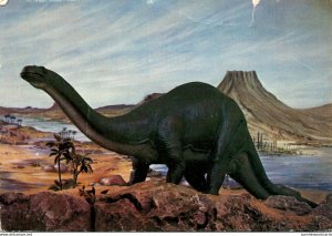 Dinosuars Brontosaurus