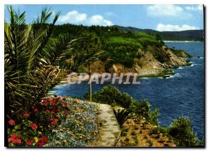 Postcard Modern Creeks and Mediterranean vegetations