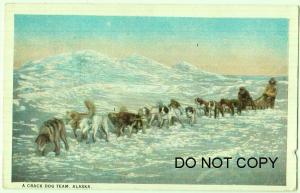 Crack Dog Team, Alaska