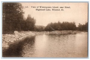 1909 View of Wintergreen Island Near Hotel Winsted Connecticut CT Postcard 