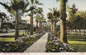 California Long Beach Park Scene