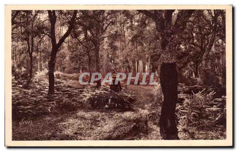 Old Postcard Gascogne Landes Return to the peasant farm (animated)