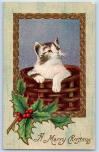 Christmas Postcard Cat Kittens On The Basket Holly Berries Embossed c1910's