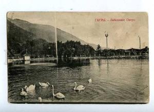 183589 Abkhazia Swan Lake Gagra RPPC Gagra Sochi