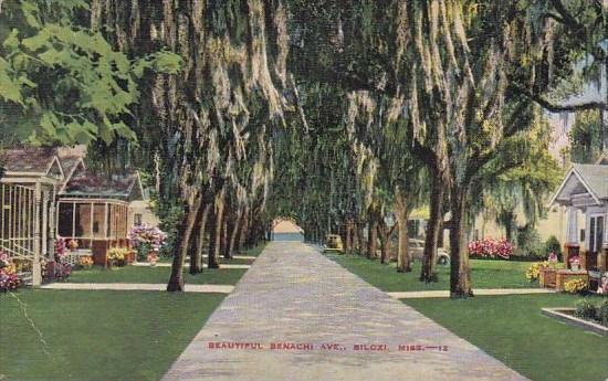 Mississippi Biloxi Beautiful Benachi Avenue 1943