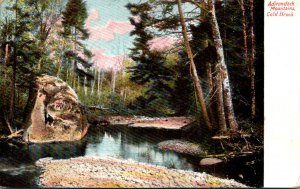 New York Adirondacks Cold Brook