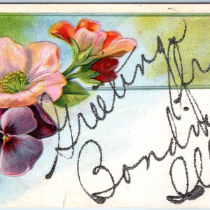 c1910s Bondville, IL Greetings Mica Glitter Floral Embossed Postcard ILL A169