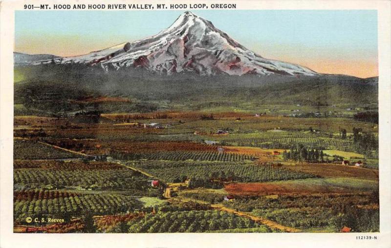 Oregon Mt. Hood ,  Aerial view of  Hood River Valley