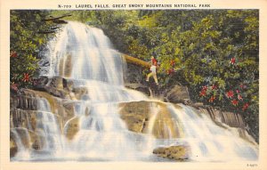 Laurel Falls Great Smoky Mountains National Park, North Carolina NC