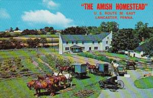 Pennsylvania Lancaster Typical Amish Homestead