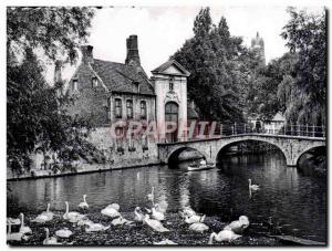 Postcard Modern Entree Bruges Beguinage