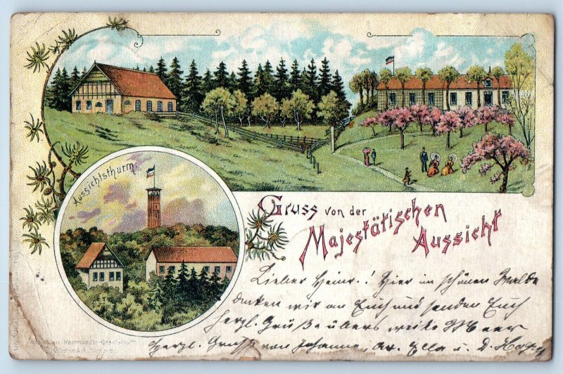 Neuenfelde Germany Postcard Greetings From The Majestic View 1898 Posted