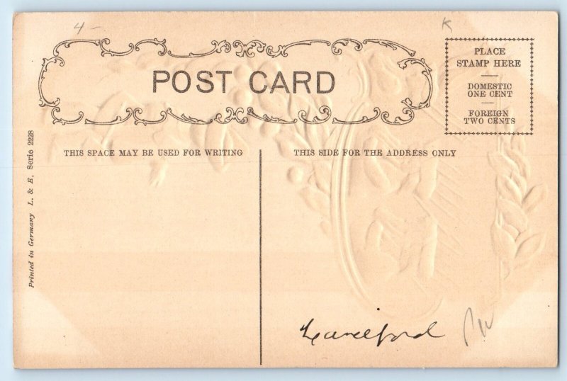 c1910's Washington Hatchet February 22nd Cherry Embossed Antique Postcard