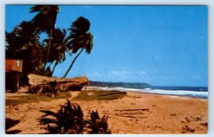 Mayaro Beach TRINIDAD & Tobago Postcard