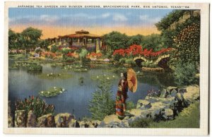 Postcard Japanese Tea Garden and Sunken Gardens Brackenridge Park San Antonio TX