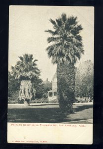 Los Angeles, California/CA Postcard, Private Grounds On Figueroa Street