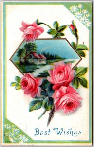 Best Wishes, 1912 Countryside House Pink Roses Hexagonal Frame, Vintage Postcard