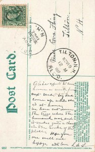 Greetings From The Catskills NY Mrs Kaatskill Cat Postcard