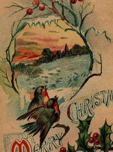 1910 Merry Christmas Song Birds Holly Berries Republic Of St. Louis  