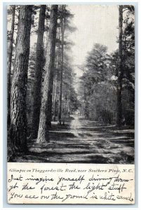 Glimpse On Thaggardsville Road Near Southern Pines NC, Harrisburg PA Postcard 