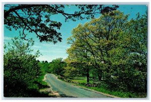 Greetings From Port Ontario Motor Court Pulaski New York NY, Road View Postcard 