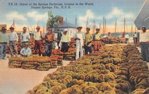 Scene at the Sponge Exchange Largest in the World Tarpon Springs FL