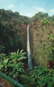 Vintage Postcard Akaka Falls Waterfall In Lush Jungle Surroundings Hawaii Island