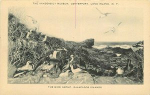 New York Long Island Vanderbilt Bird Group Galapagos 1930s Postcard 22-3446