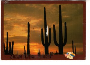 Saguaro National Monument, Arizona,  Used 1991, Cactus, Flags