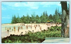 CHRIST CHURCH, BARBADOS ~ Beautiful View ACCRA BEACH c1960s-70s Postcard