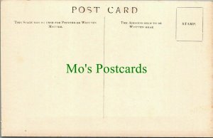 British Museum Postcard - Pottery - Lambeth Delft Wine Bottle, 1672 -RS27872