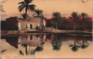 Algeria Paysage du Sud Vintage Postcard C185