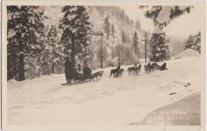 California Ca RPPC Postcard 1950 GRASS VALLEY Dog Sled Team Sierras