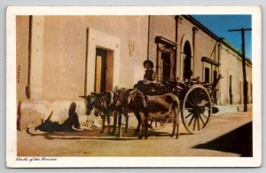 Nogales AR Arizona Donkey Cart South of The Border Old Mexico Postcard R28