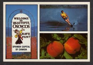 BC Water Skiing OSOYOOS BRITISH COLUMBIA Postcard PC