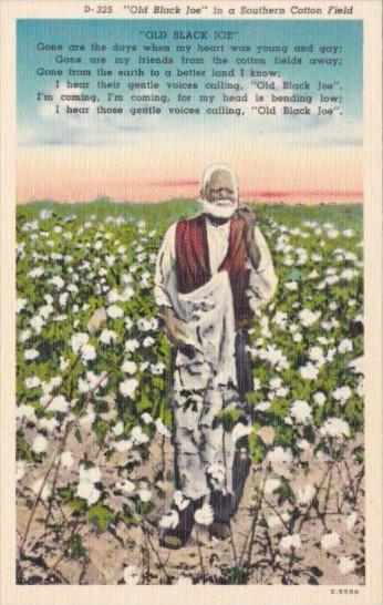 Black Americana Old Black Joe In A Southern Cotton Field