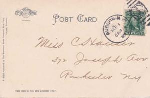 Lake Side Park at Owasco Lake - Auburn NY, New York - pm 1907 - UDB