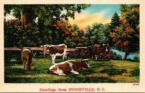 North Carolina Greetings From Stoneville