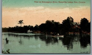 Postcard Kawartha Lakes Ontario c1910s View on Bobcaygeon River Canoeing