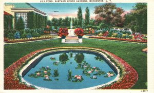 Vintage Postcard 1951 Lily Pond East Man House Gardens Rochester NY New York