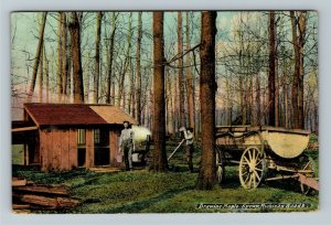Detroit MI-Michigan, Drawing Maple Syrup Production, Vintage c1908 Postcard 