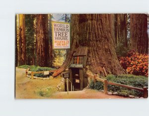 Postcard World Famous Tree House Redwood Tree Tree House Park California USA